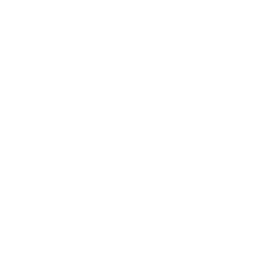 TireSizeFinder Logo